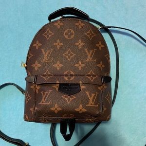 Purse backpack similar to Palm Springs Mini